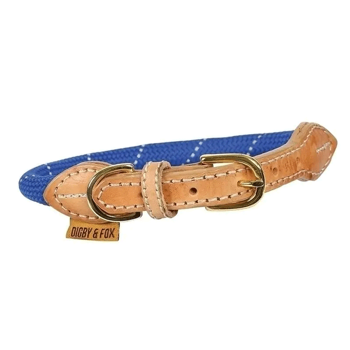 The Digby & Fox Reflective Dog Collar in Blue#Blue