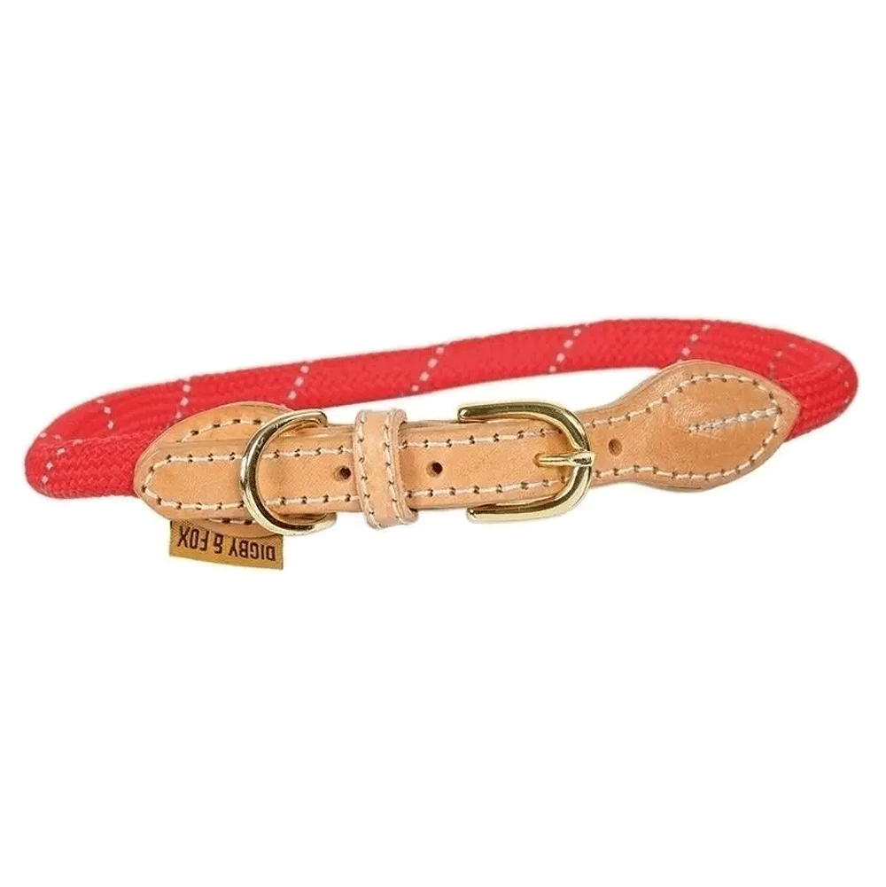 The Digby & Fox Reflective Dog Collar in Red#Red