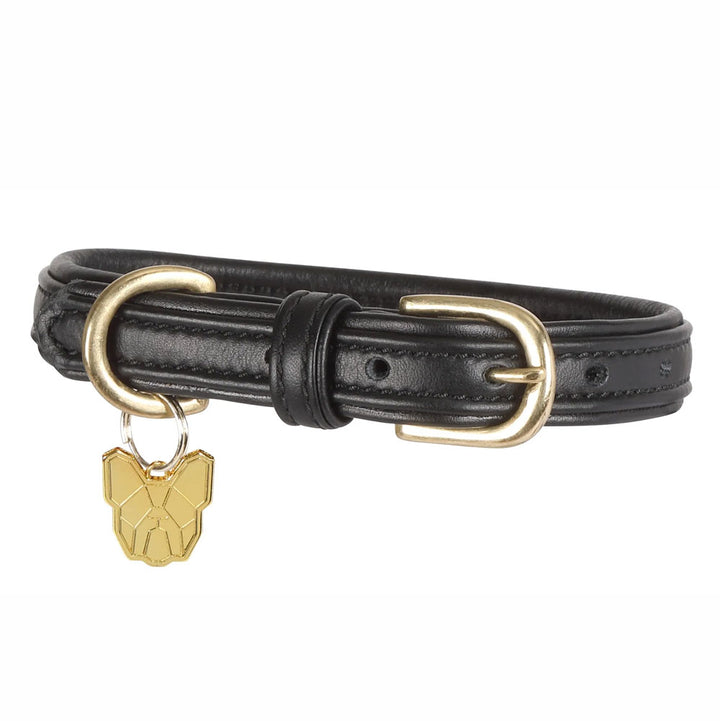 The Digby & Fox Padded Leather Dog Collar in Black#Black