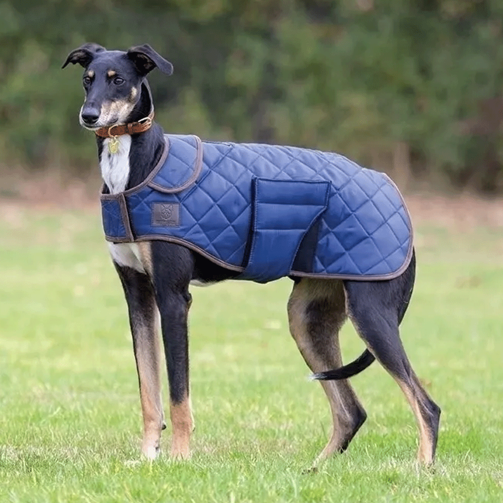 The Digby & Fox Quilted Dog Coat in Navy#Navy