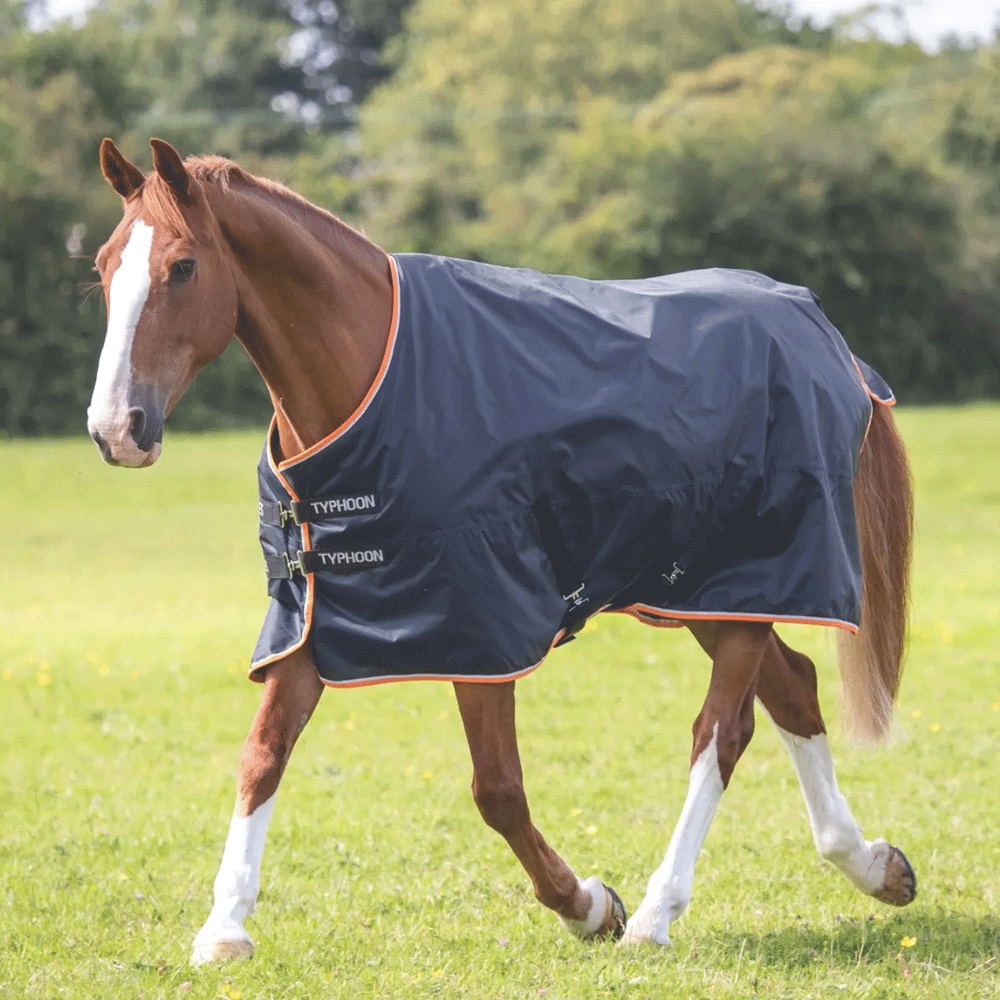 The Shires Typhoon 200g Standard Turnout in Navy#Navy