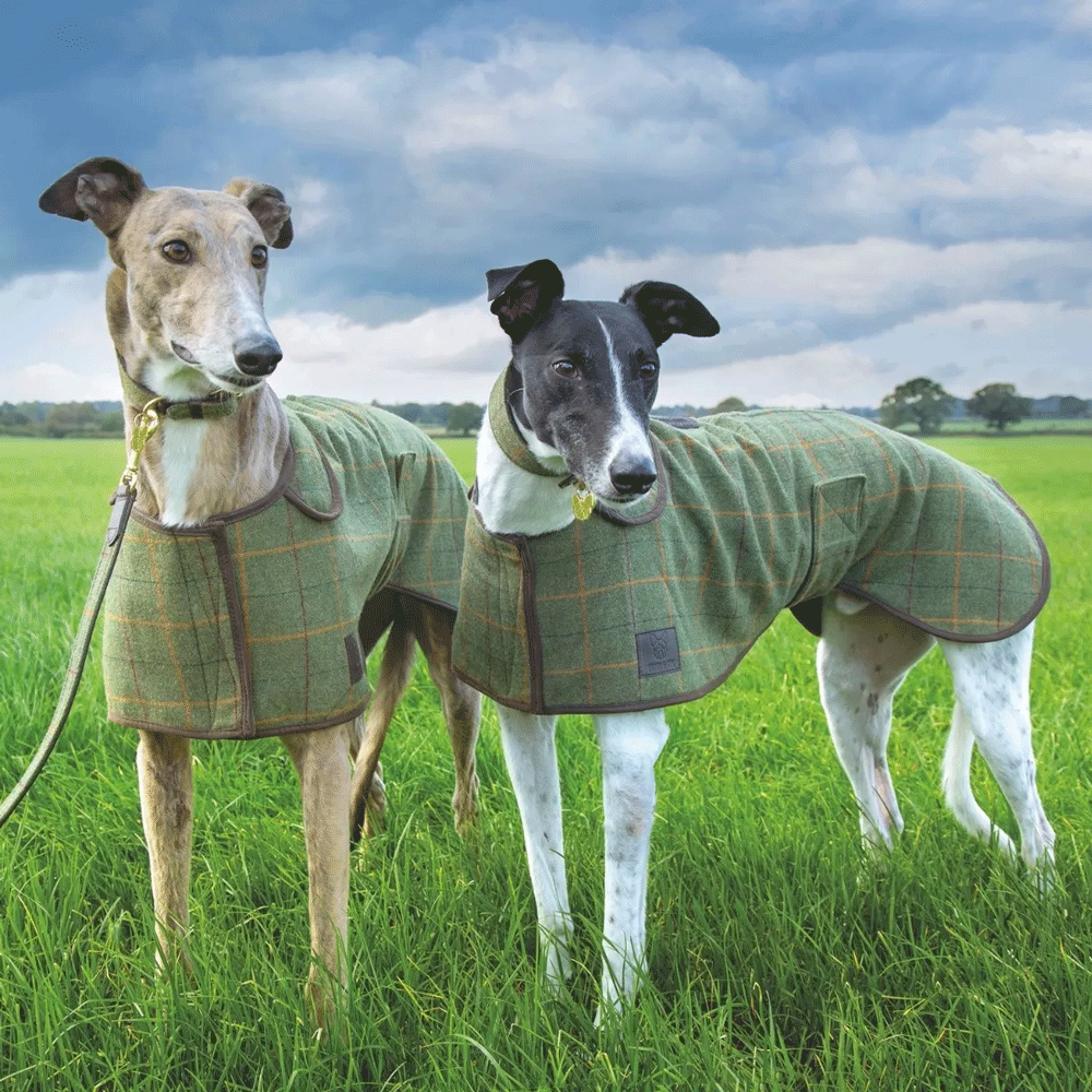 The Digby & Fox Tweed Greyhound Coat in Green#Green