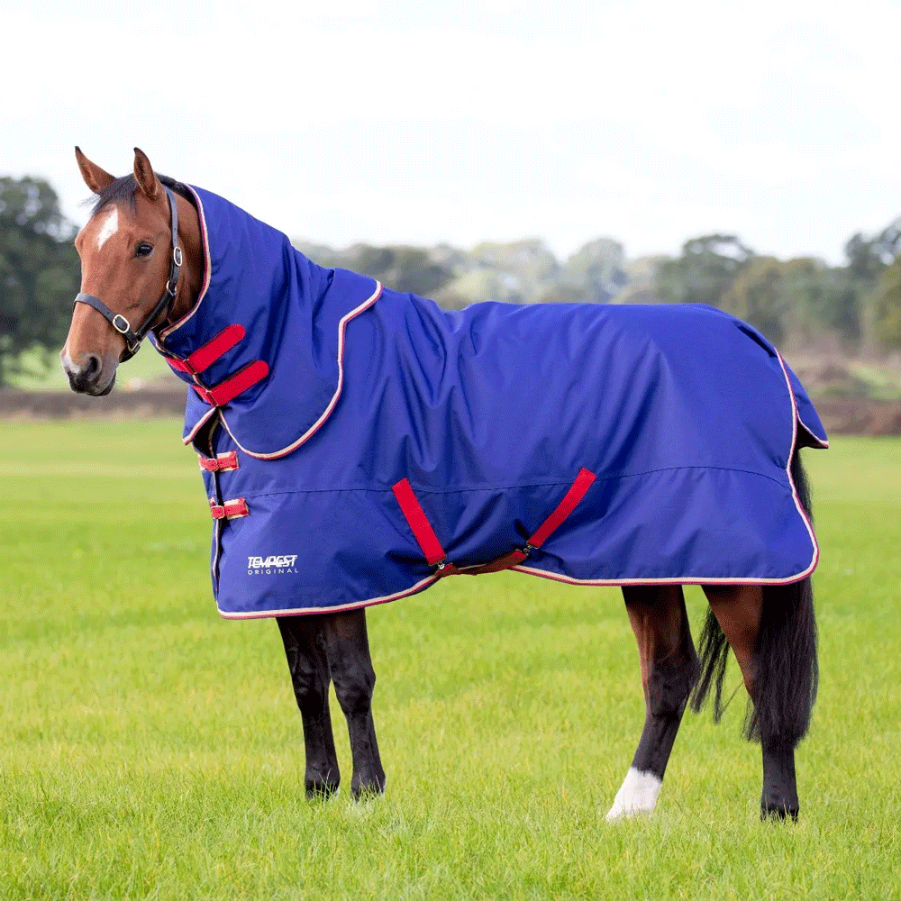 The Shires Tempest Original 100g Turnout Rug & Neck Cover in Navy#Navy