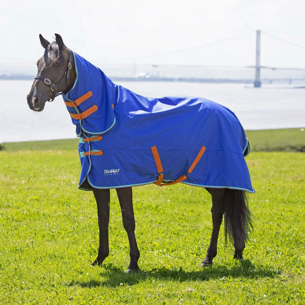 The Shires Tempest Original 50g Combo Turnout Rug in Royal Blue#Royal Blue