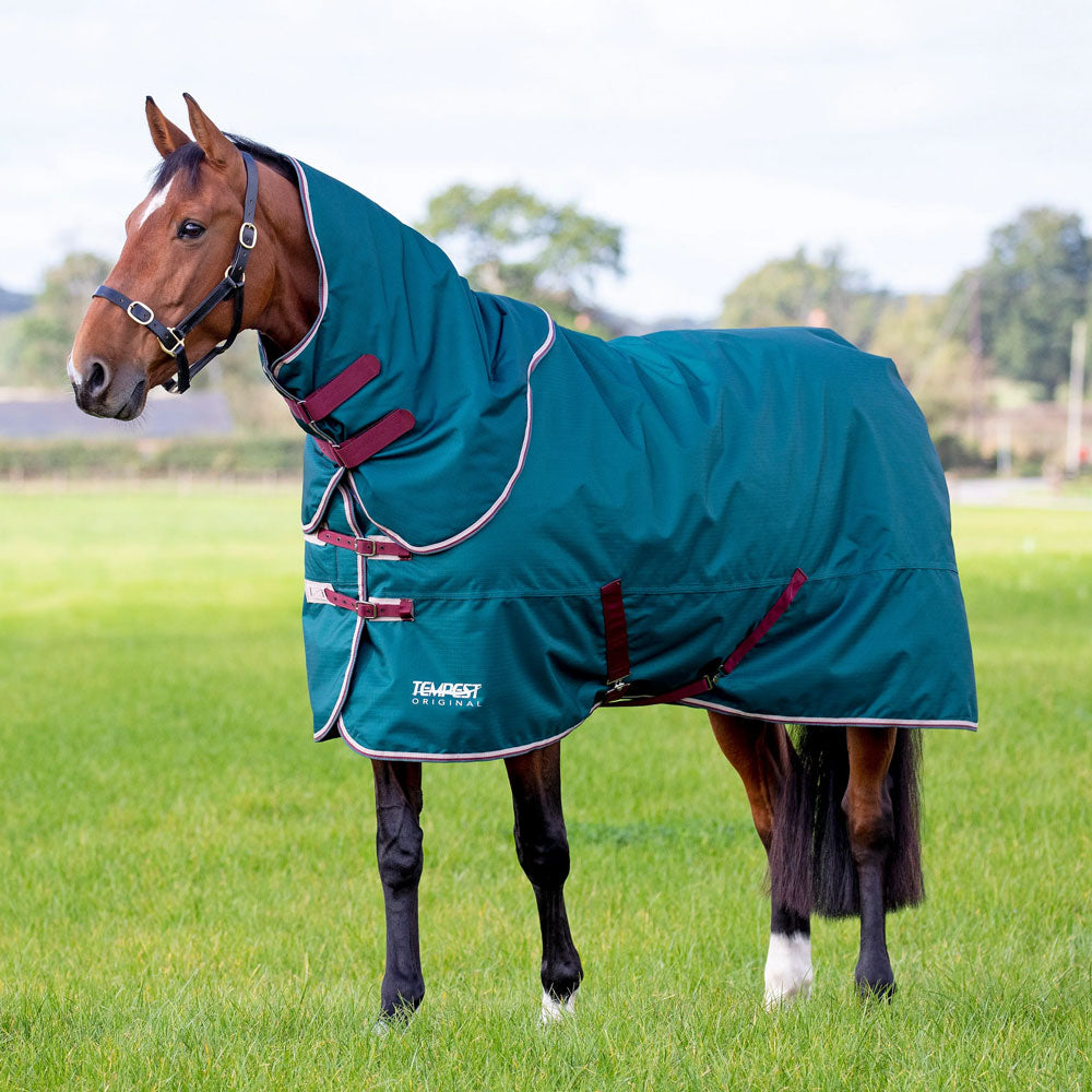 The Shires Tempest Original 200g Rug & Neck Set in Green#Green