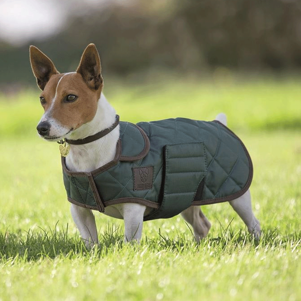 The Digby & Fox Quilted Dog Harness in Dark Green#Dark Green