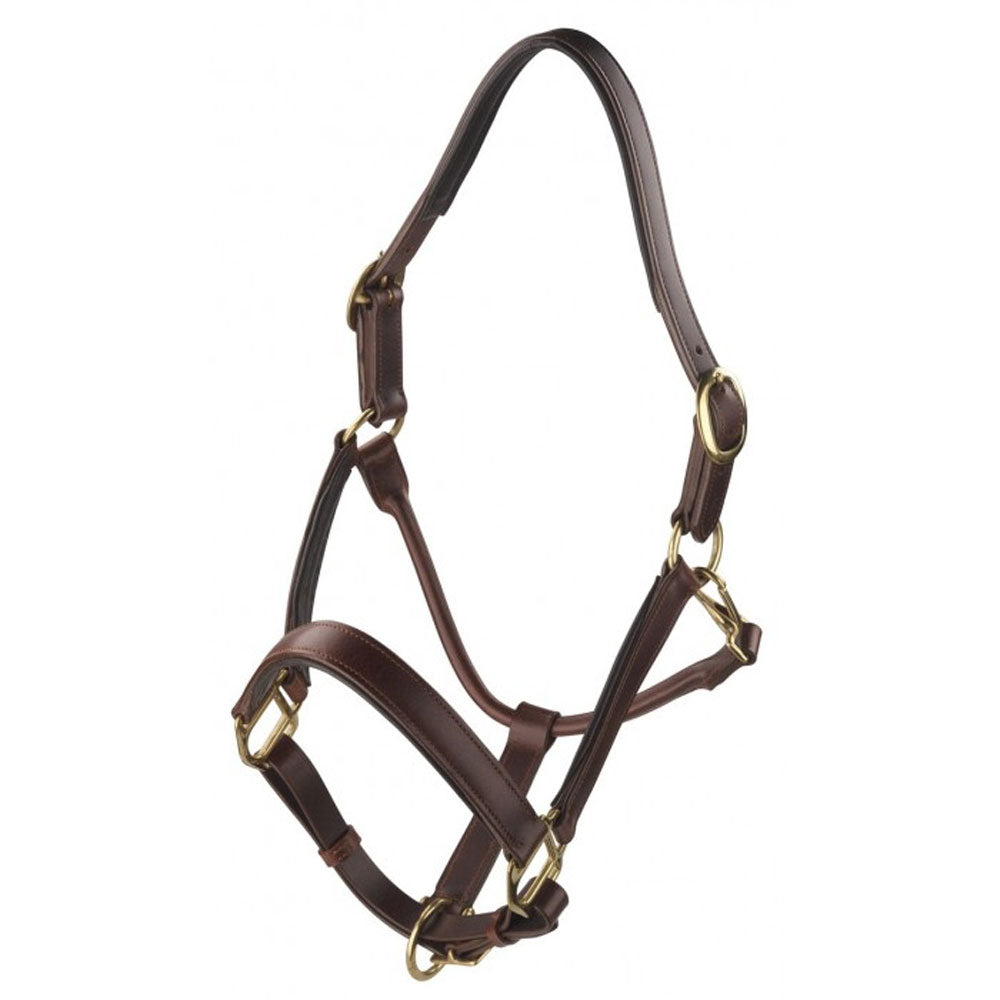 The Ascot Padded Leather Headcollar in Brown#Brown