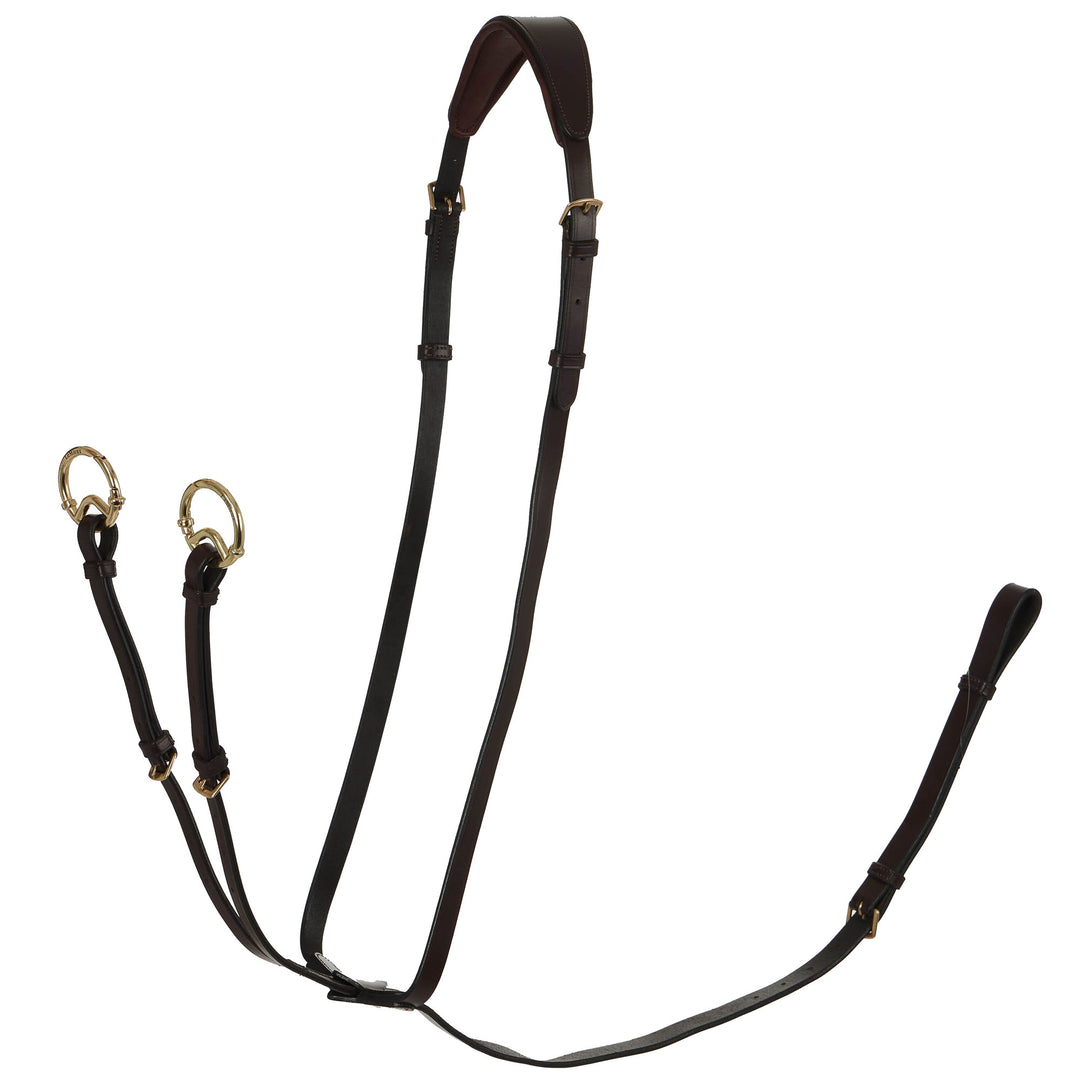The LeMieux Running Martingale in Brown#Brown