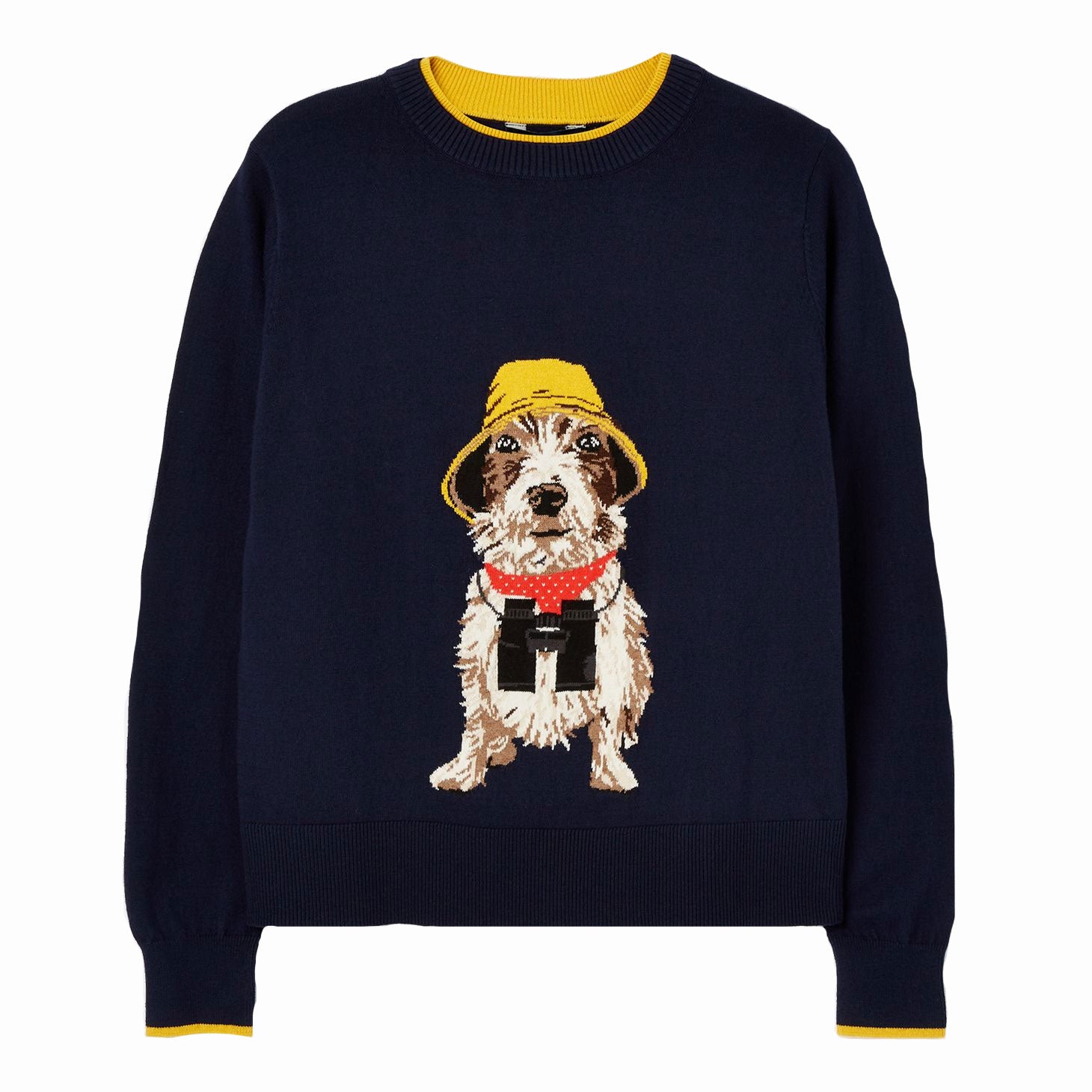 Ladies dog outlet jumper