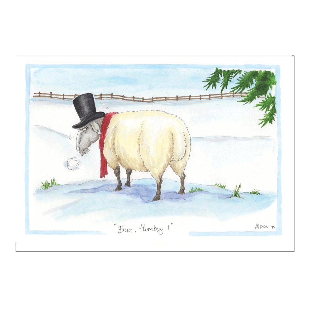 Splimple Baa Humbug