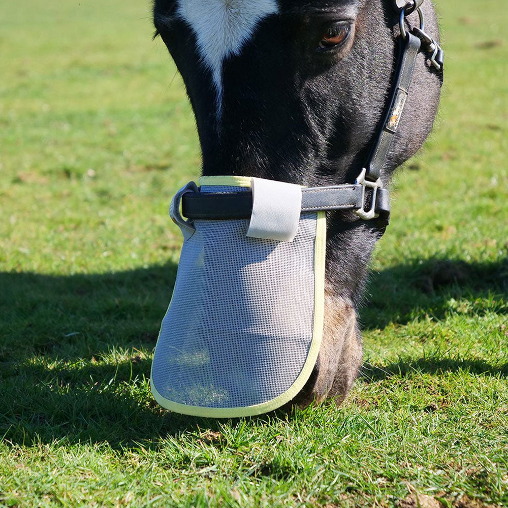 Equilibrium Field Relief Muzzle Protector