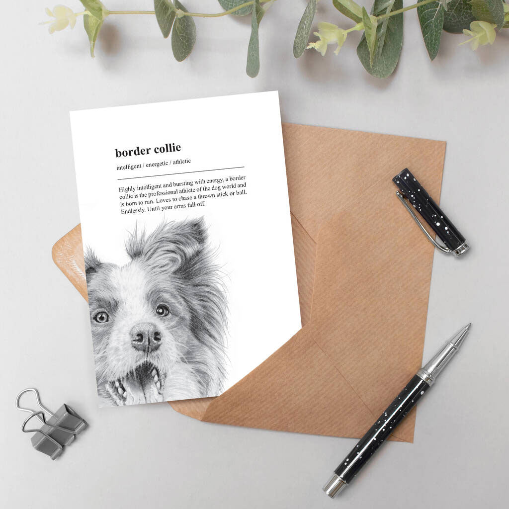 Coulson Macleod Pooch Border Collie Card