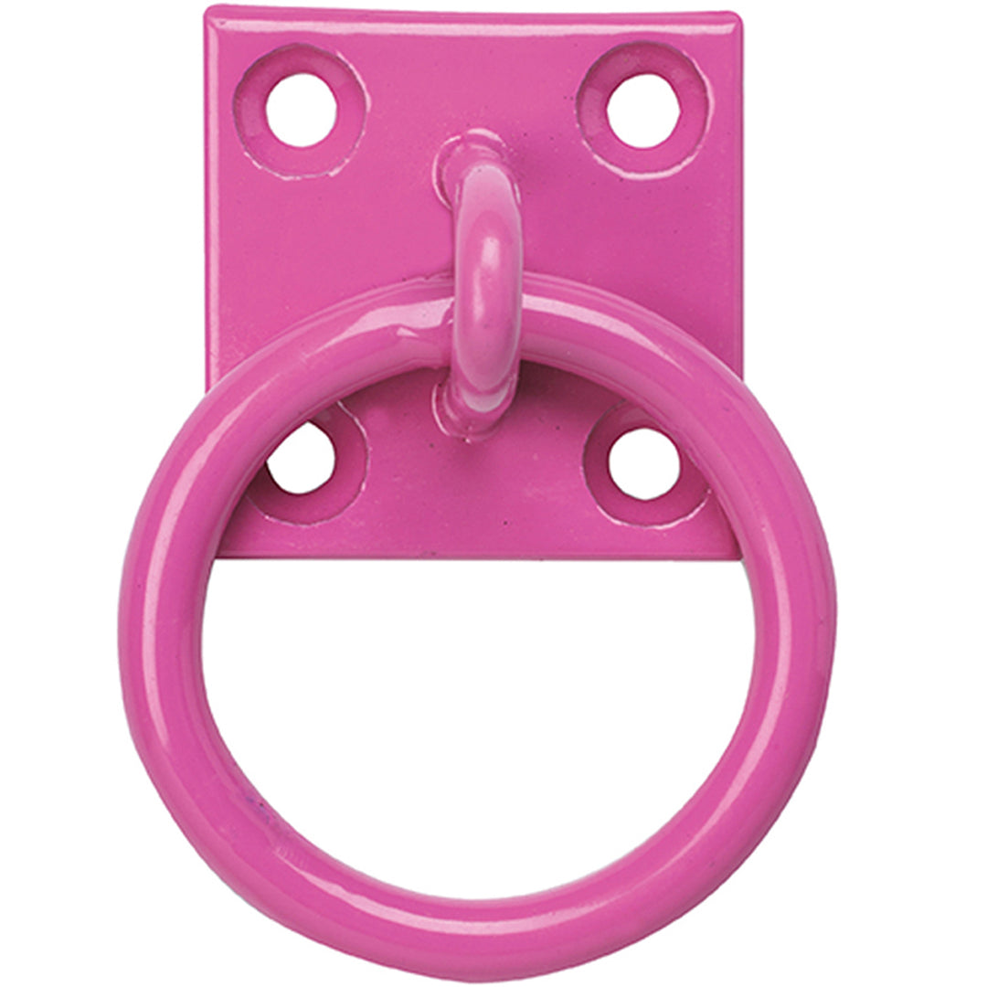 The Perry Equestrian Swivel Tie Ring on Plate - Pack of 2 in Pink#Pink