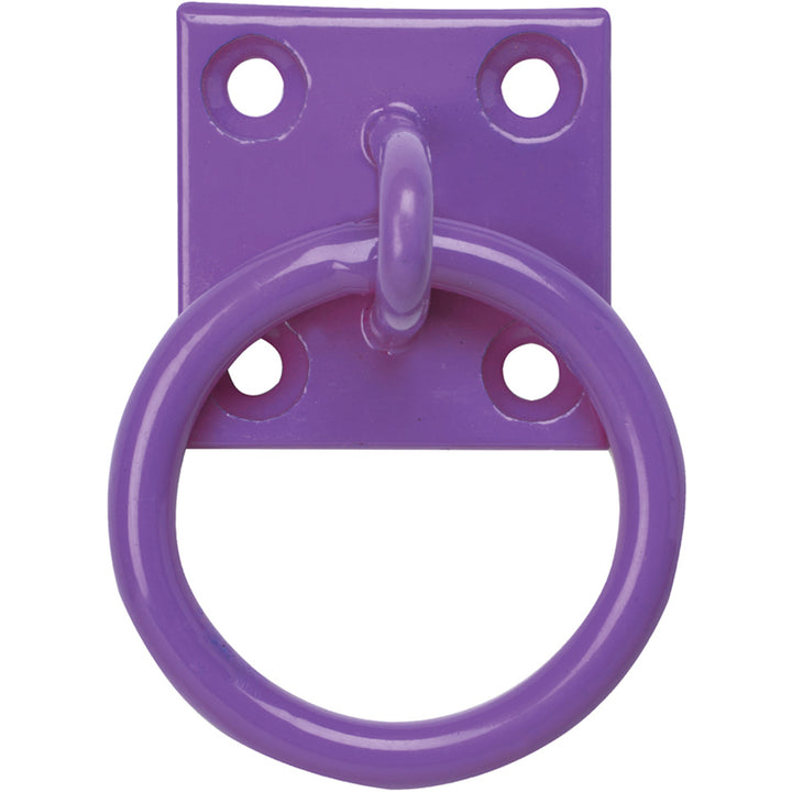 The Perry Equestrian Chain Ring on Plate - Pack of 2 in Purple#Purple