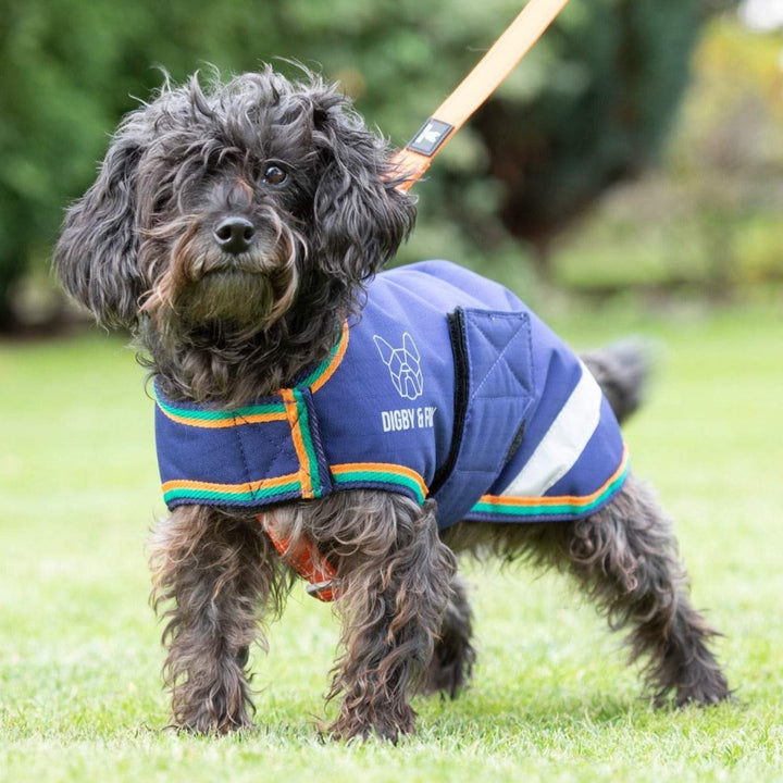 Digby & Fox Waterproof Dog Coat in Navy#Navy