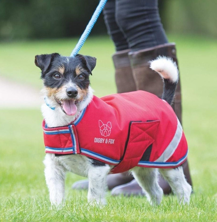 The Digby & Fox Waterproof Dog Coat in Red#Red