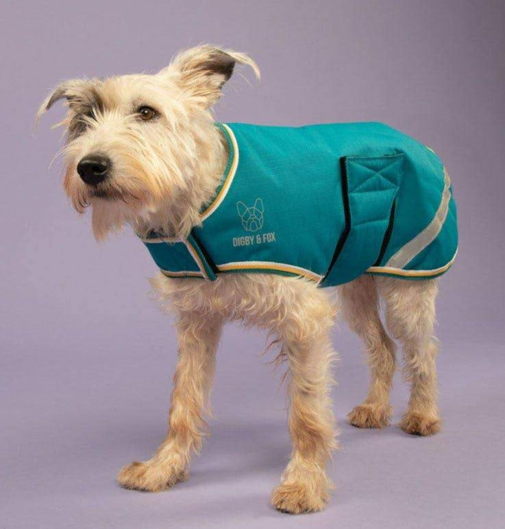 Digby & Fox Waterproof Dog Coat in Green#Green