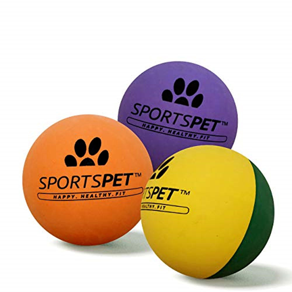 Sportspet Dog High Bounce