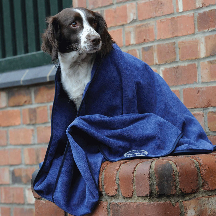 Weatherbeeta Dog Towel