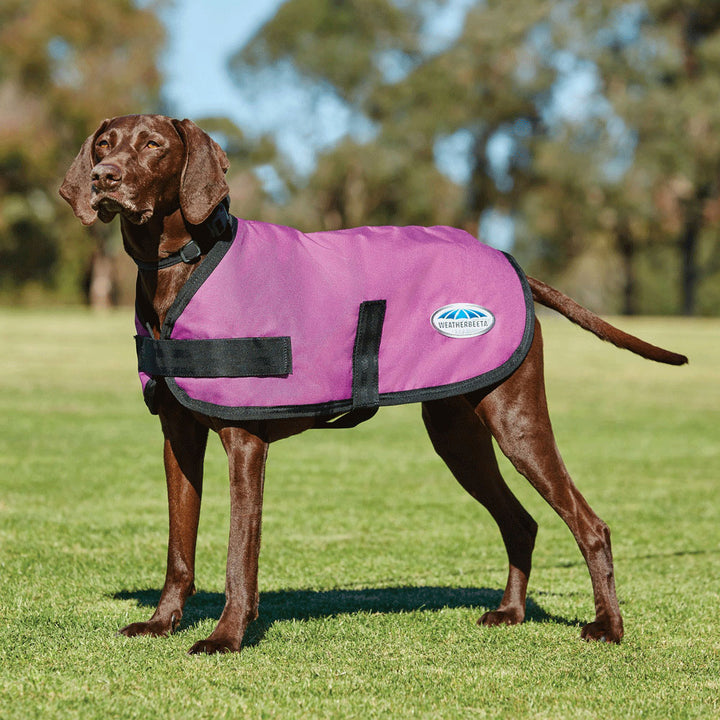 The WeatherBeeta Comfitec Classic Waterproof Dog Coat in Pink#Pink