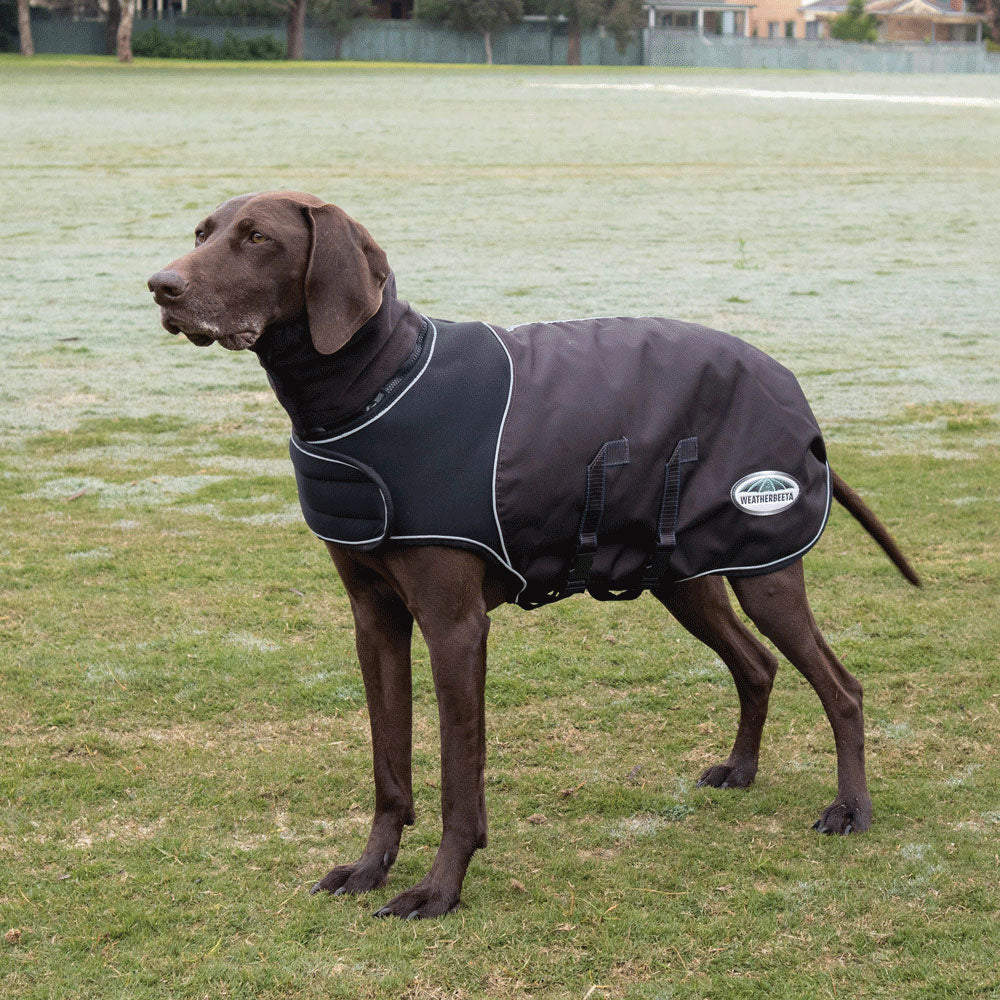 The Weatherbeeta Comfitec Ultra Cozi Dog Coat Medium/Lite in Grey#Grey