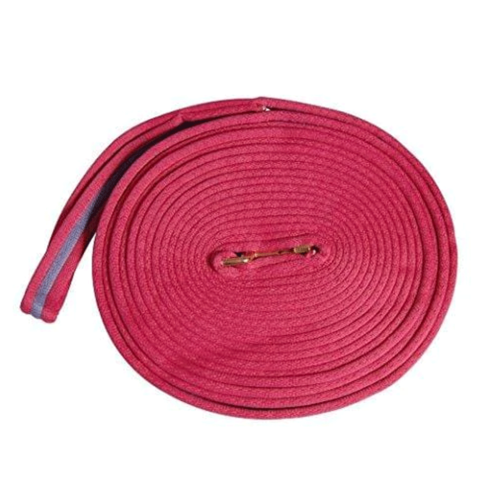 The Kincade 2 Tone Padded Lunge Rein in Pink#Pink