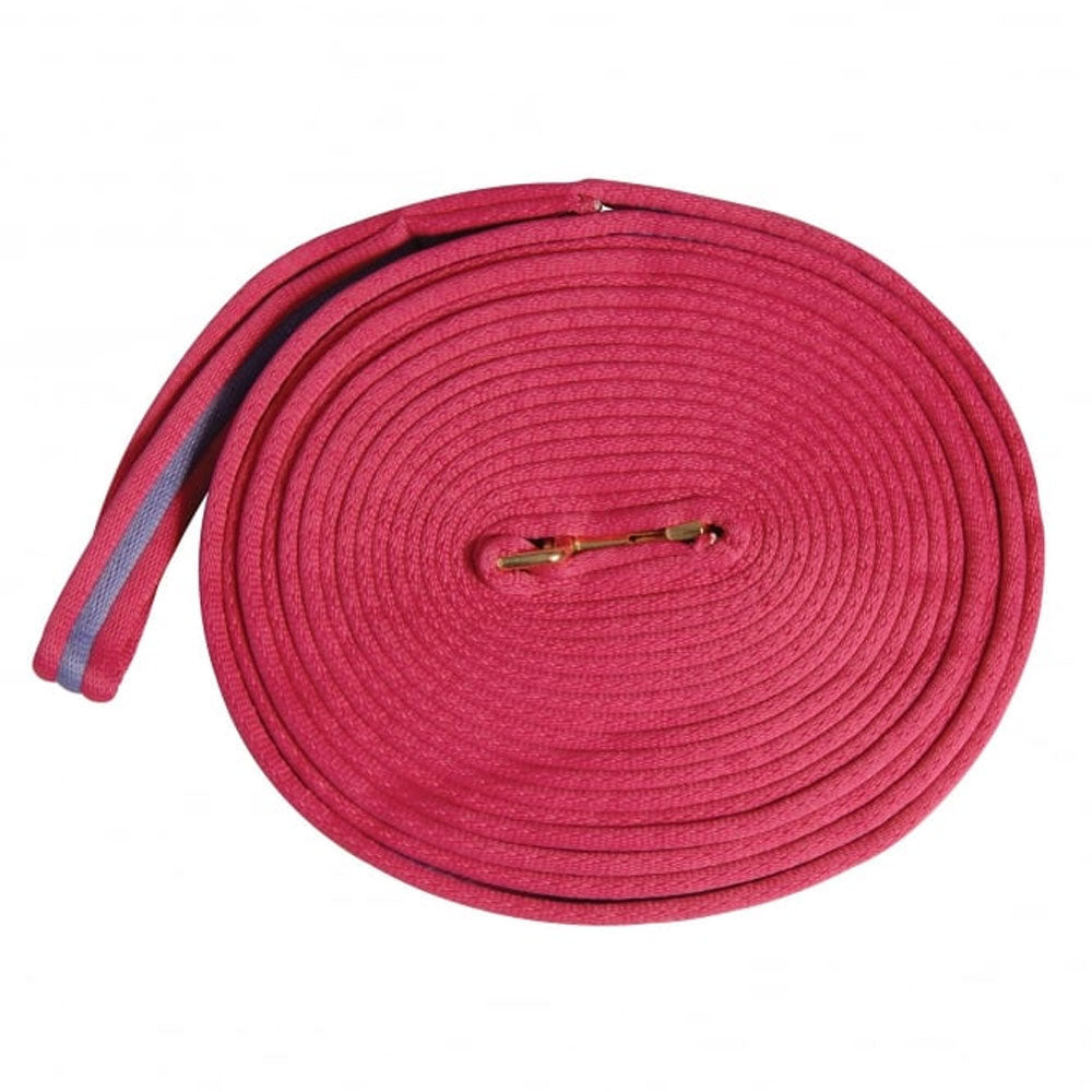 Kincade 2 Tone Padded Lunge Rein 8m in Pink#Pink