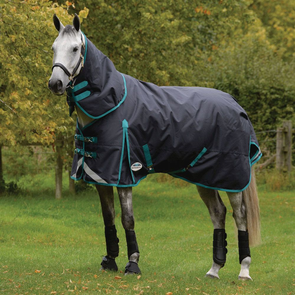 The Weatherbeeta Comfitec Plus Dynamic II Detach-A-Neck Medium Turnout Rug in Black#Black