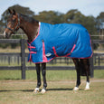 The Weatherbeeta Comfitec Classic Standard Neck Medium Turnout Rug in Blue#Blue