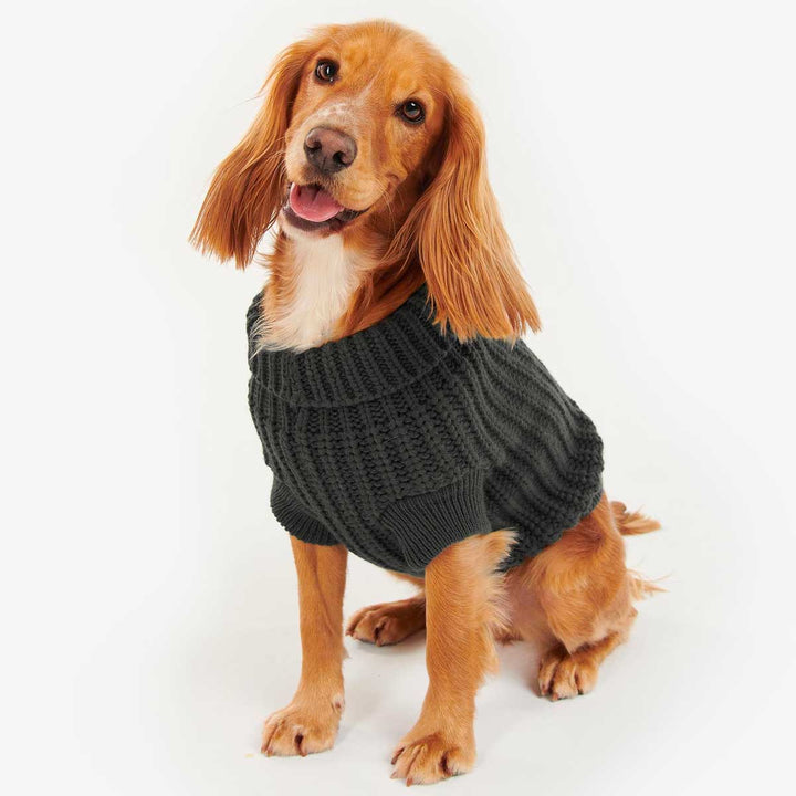 The Barbour Saltburn Dog Jumper in Black#Black