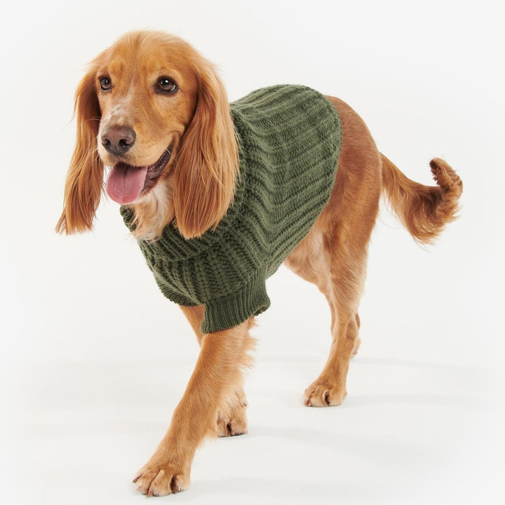 Barbour Saltburn Dog Jumper