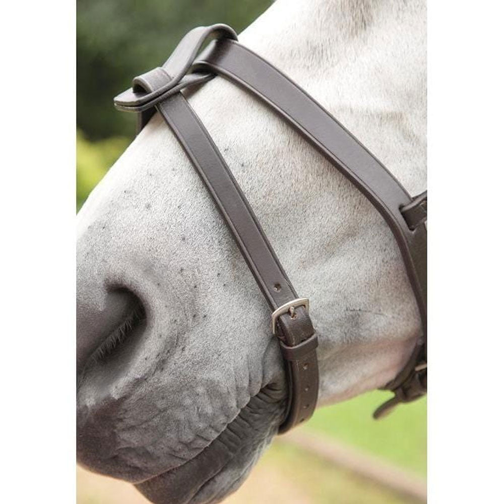 Shires Blenheim Flash Strap