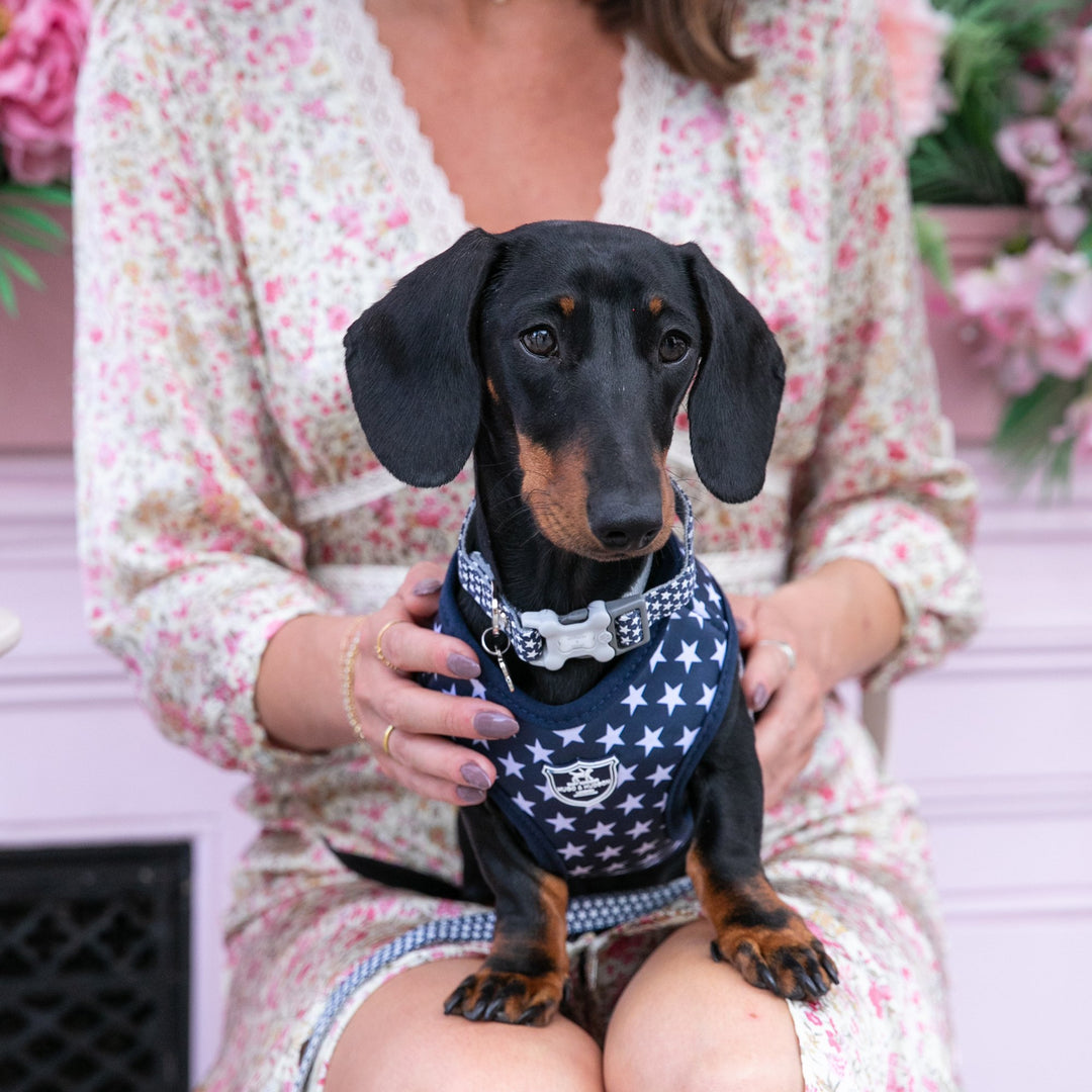 Hugo & Hudson Printed Dog Collar