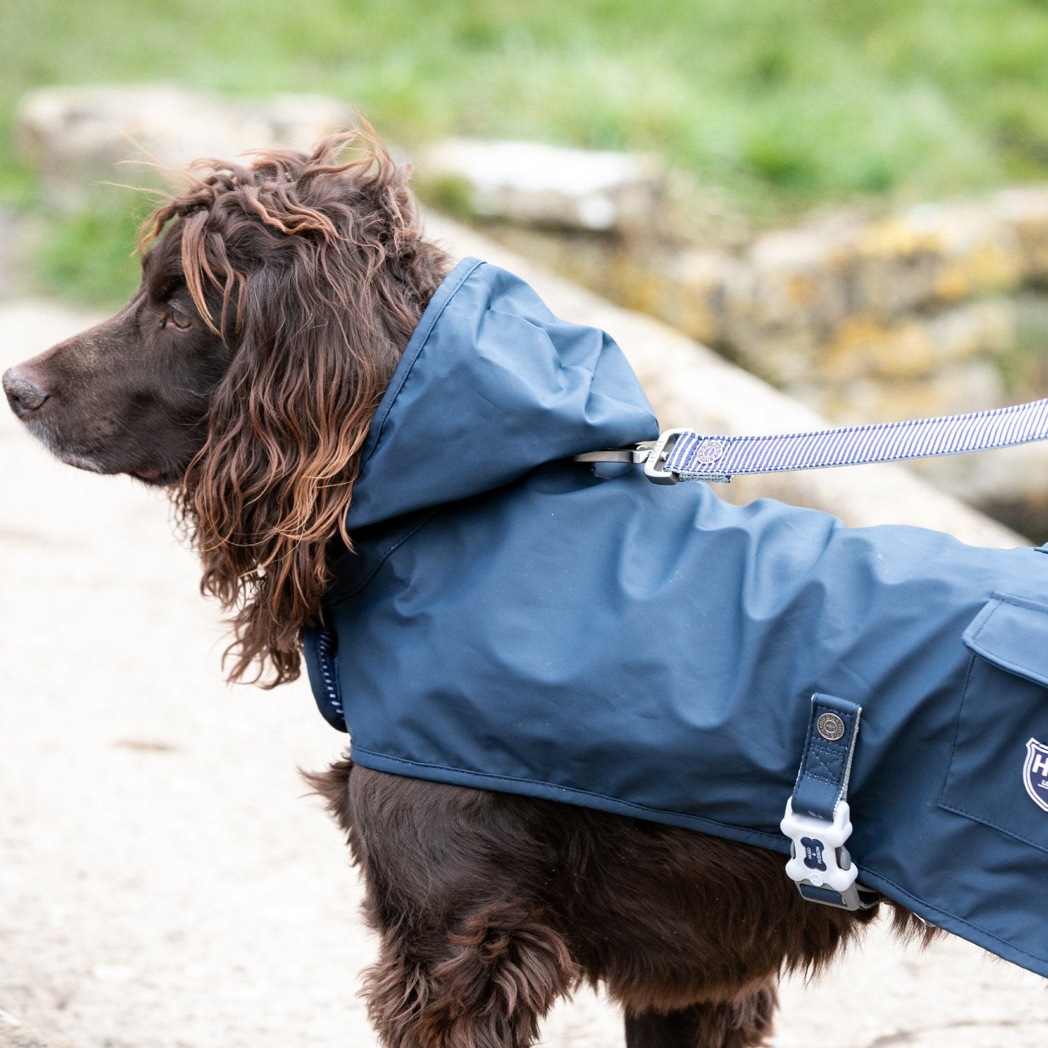 Hugo Hudson Rain Coat for Dogs