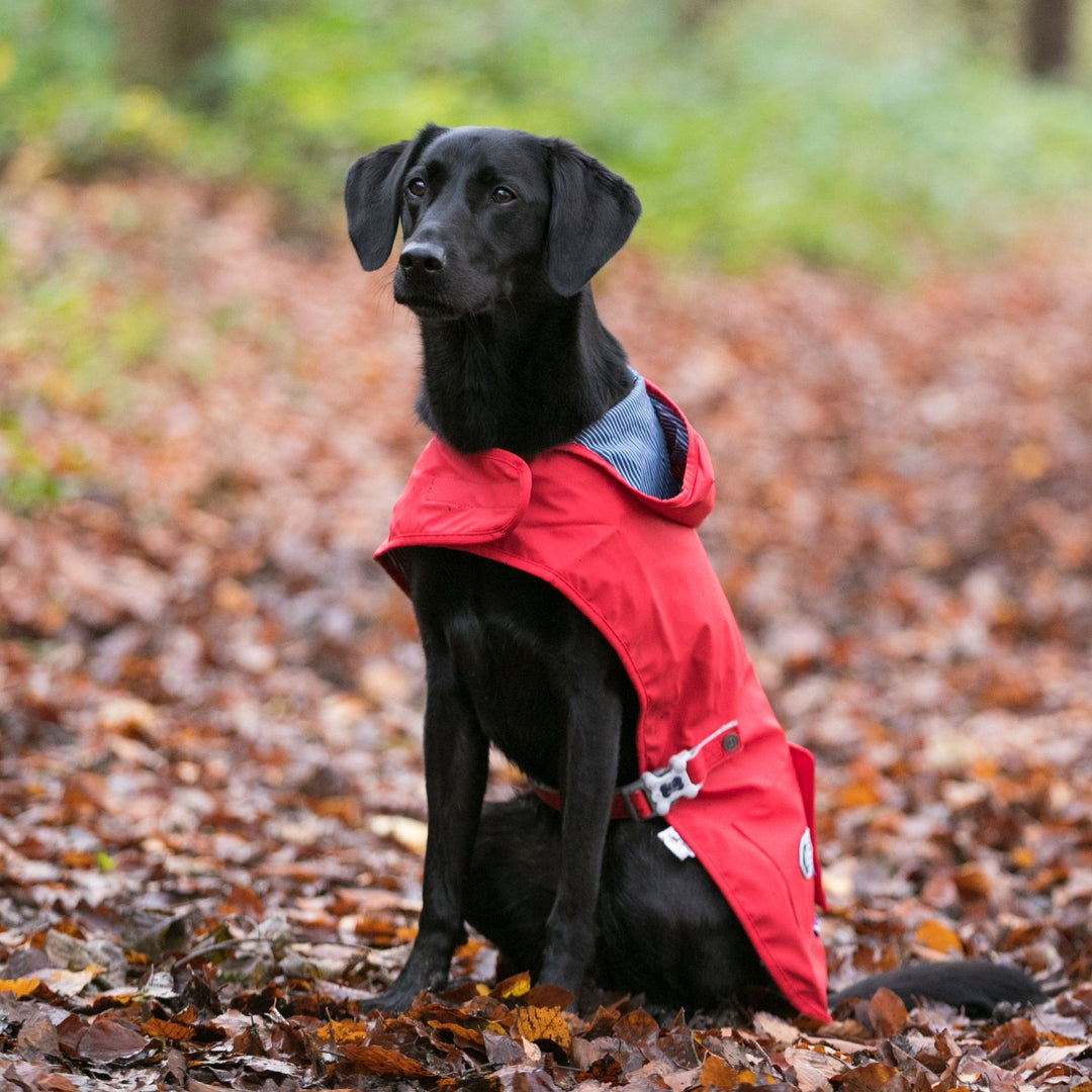 The Hugo & Hudson Rain Coat for Dogs in Red#Red