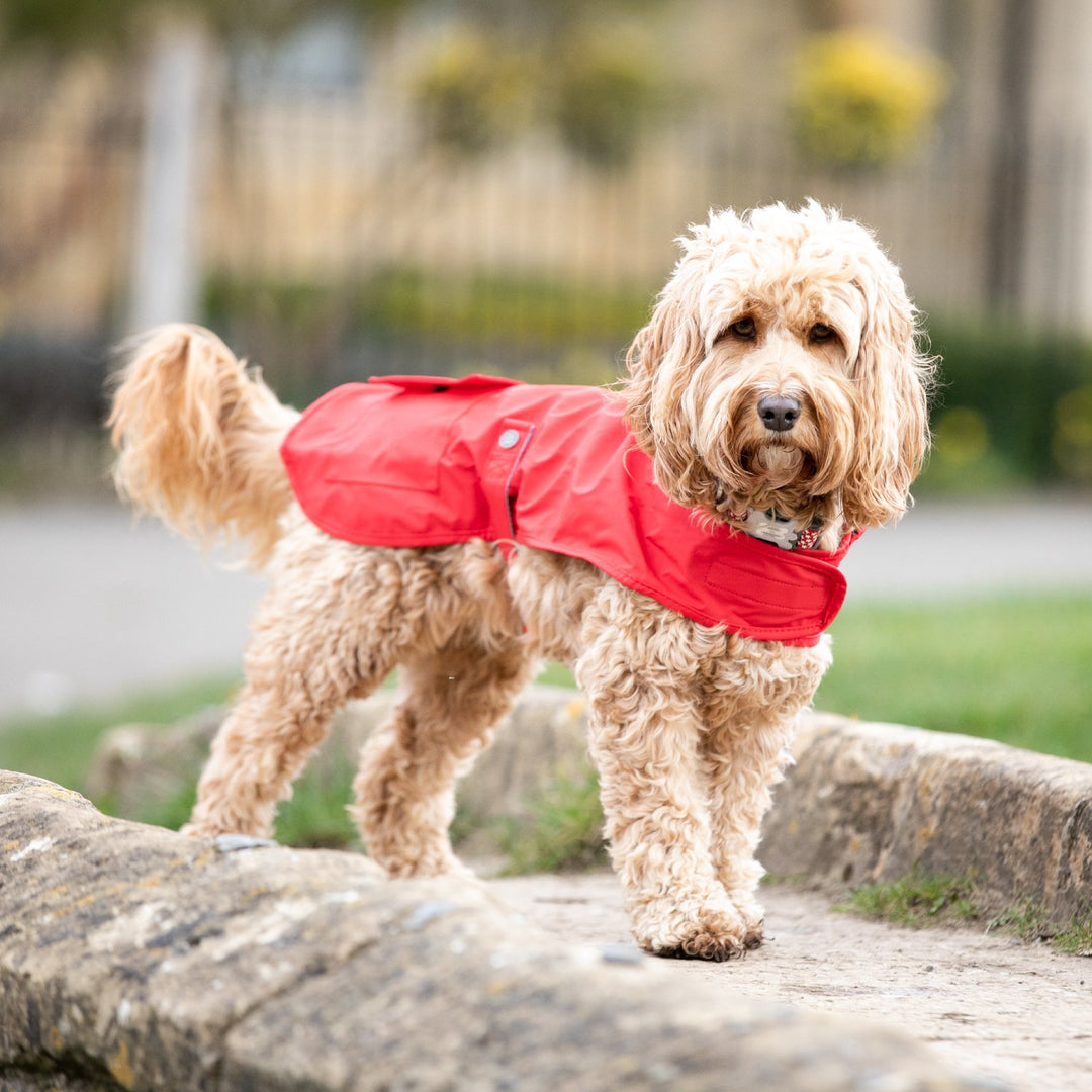 Hugo & Hudson Rain Coat for Dogs