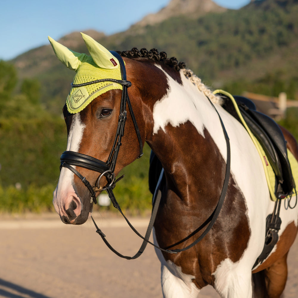 LeMieux Classic Fly Hood