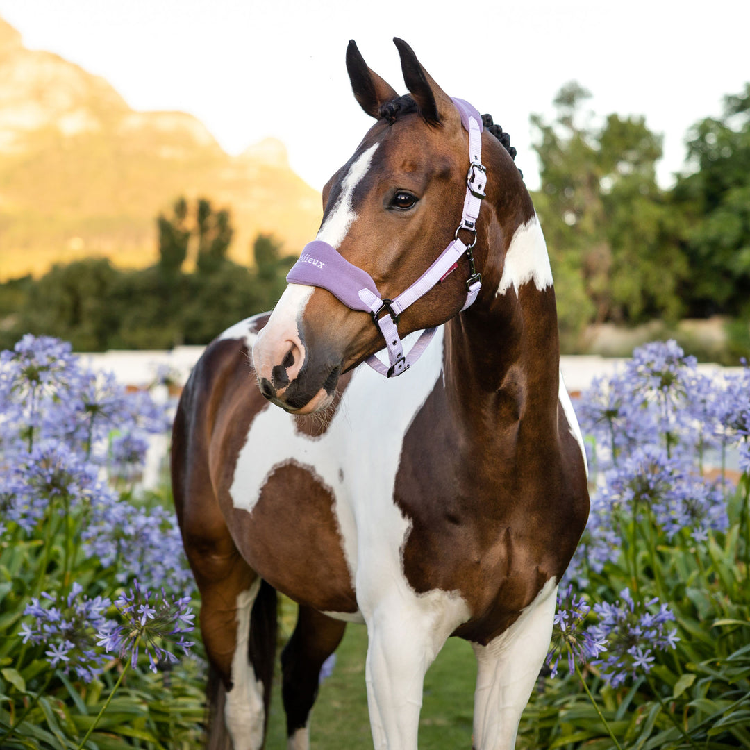 The LeMieux Vogue Fleece Headcollar with Leadrope in Wisteria#Wisteria