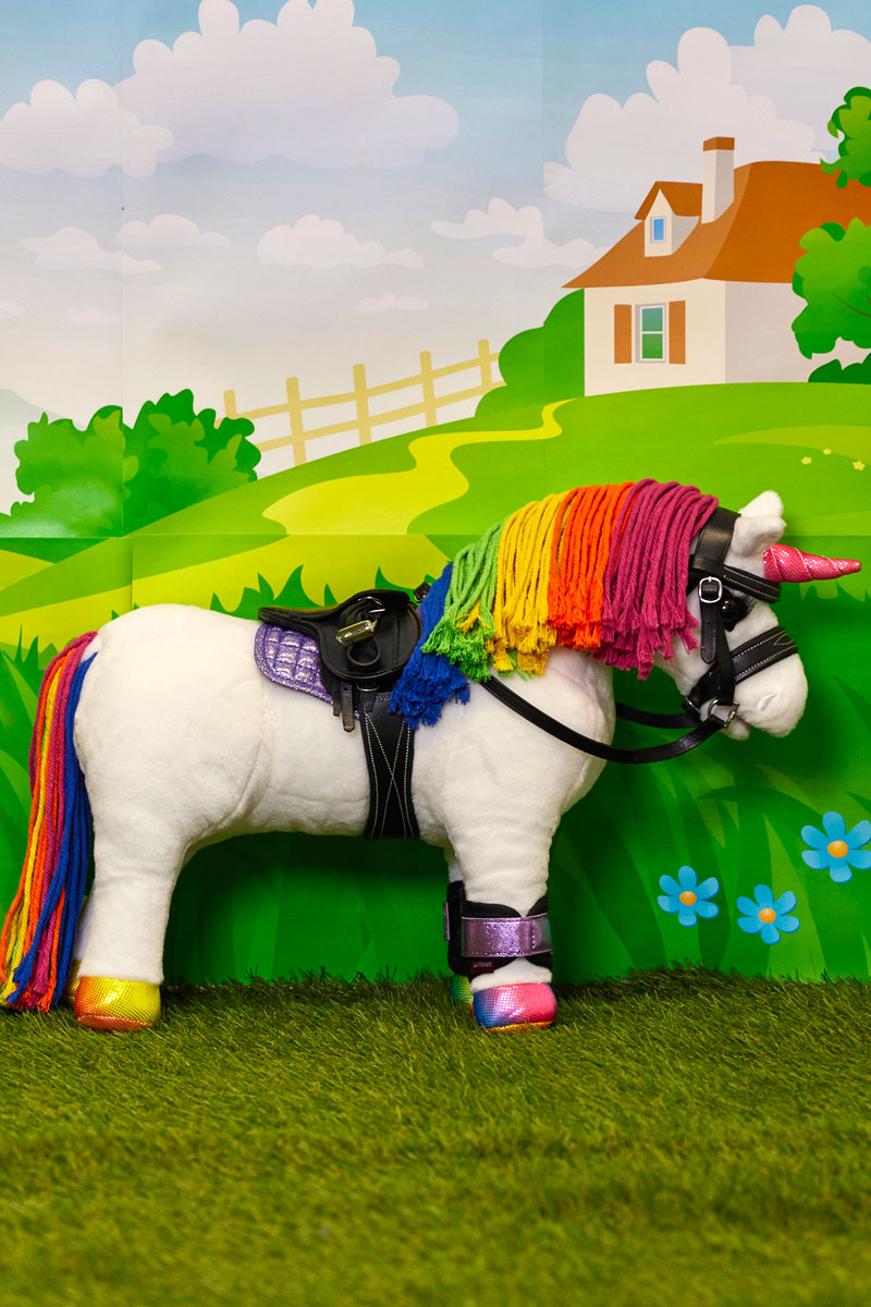 Shop the Look: LeMieux Unicorn Shimmer Toy Accessories Set