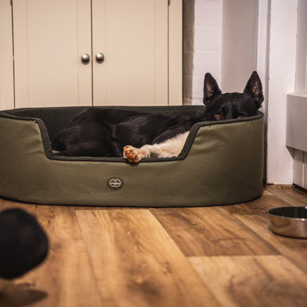 Le Chameau Luxury Dog Bed