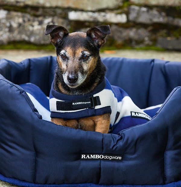 The Rambo Deluxe Fleece Dog Rug in Navy#Navy