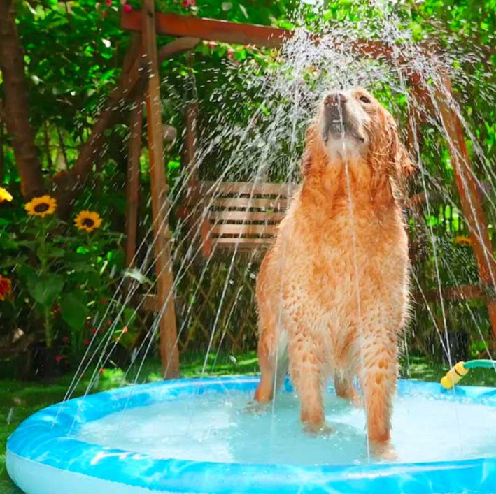 Dog on a cooling sprinkle mat pool