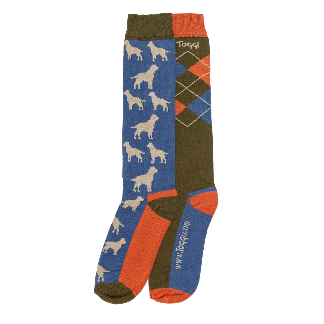 The Toggi Mens Dog & Argyle Socks in Blue#Blue