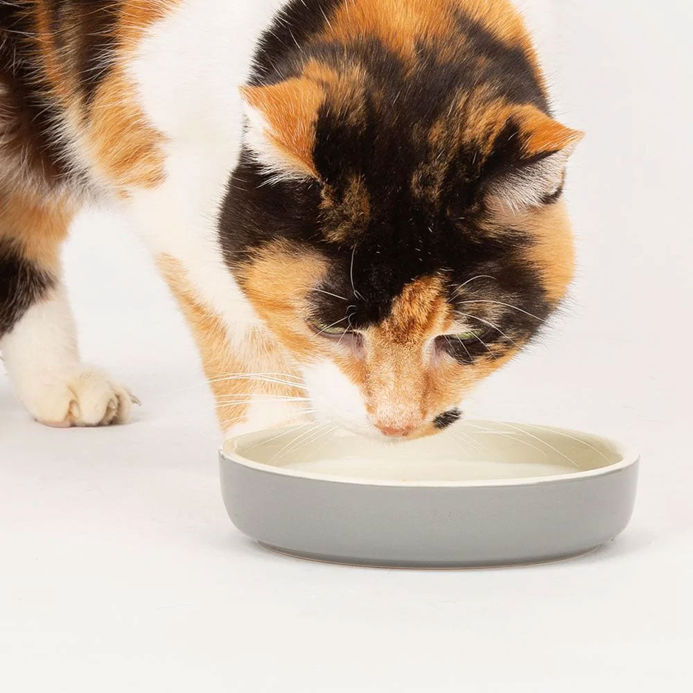 Scruffs Classic Grey Pet Saucer
