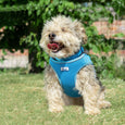 The Ancol Viva Step In Dog Harness in Pink#Pink