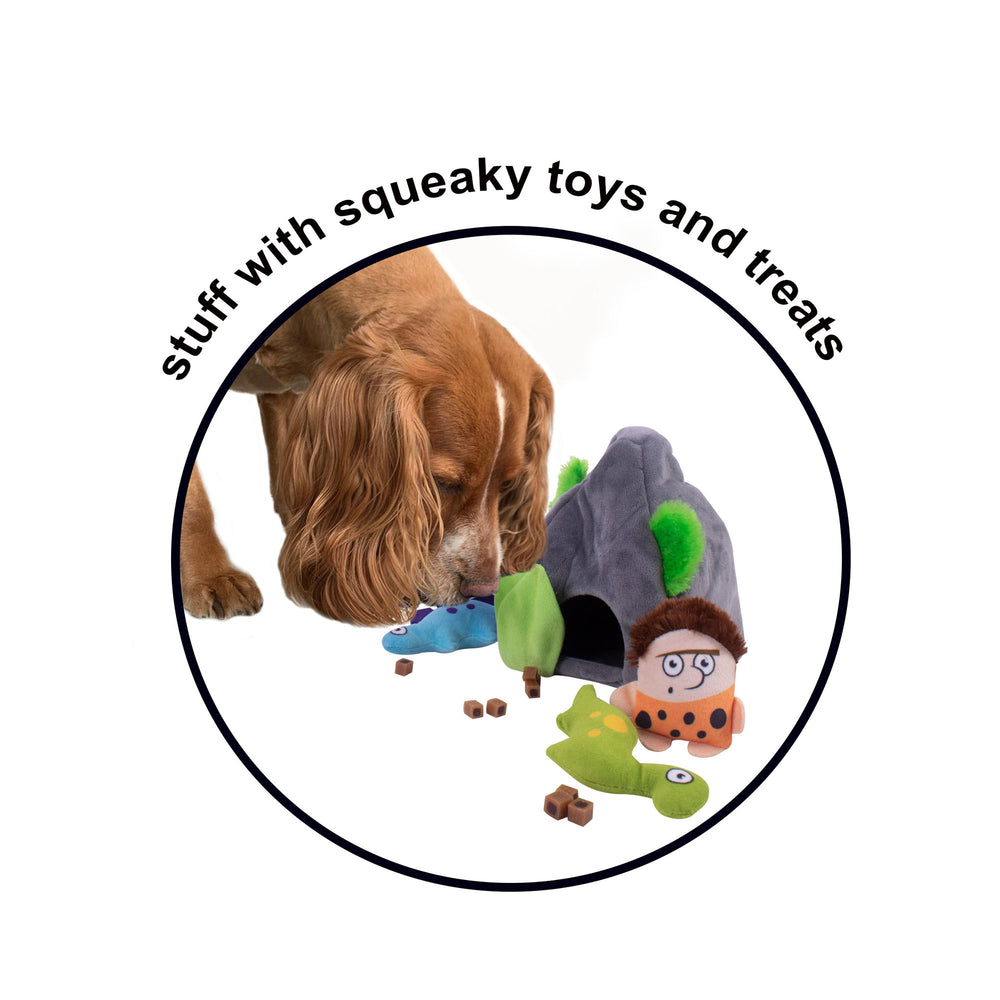 Smart Choice Squeaky Hide & Seek Dog Toy
