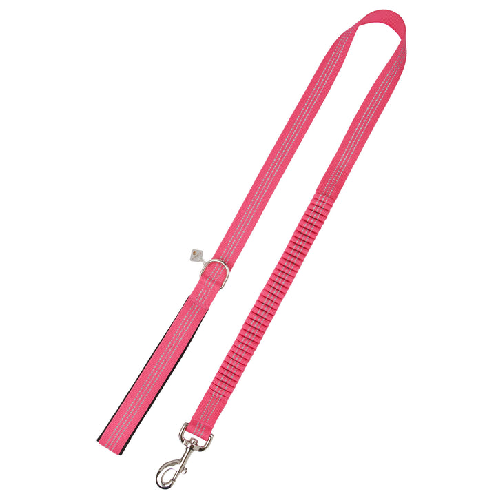 The LeMieux Webbing Bungee Dog Lead in Dark Pink#Dark Pink