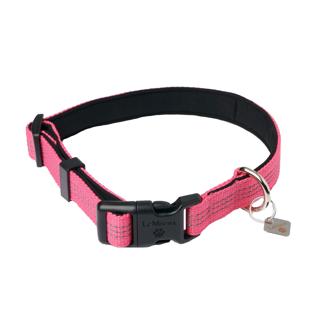 The LeMieux Henley Webbing Dog Collar in Dark Pink#Dark Pink