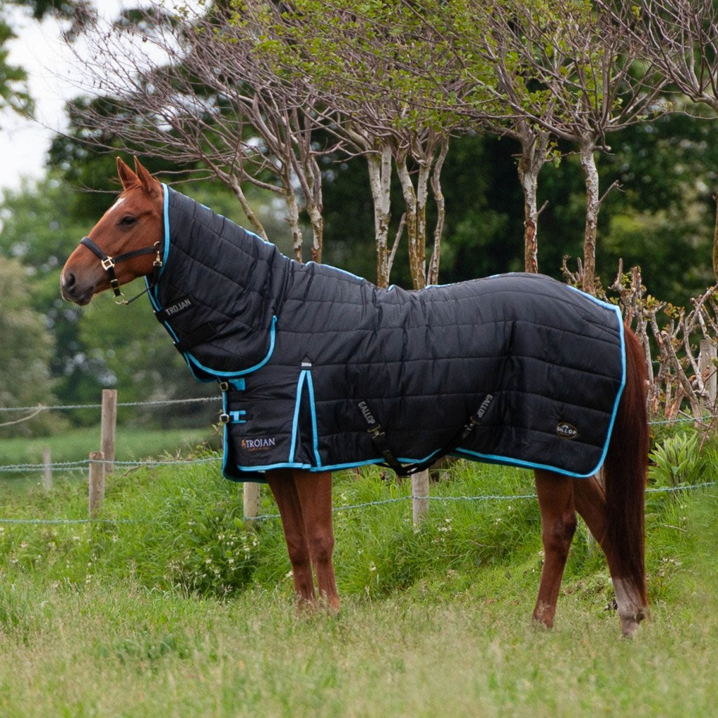 The Gallop Trojan 300g Combo Stable Rug in Black#Black