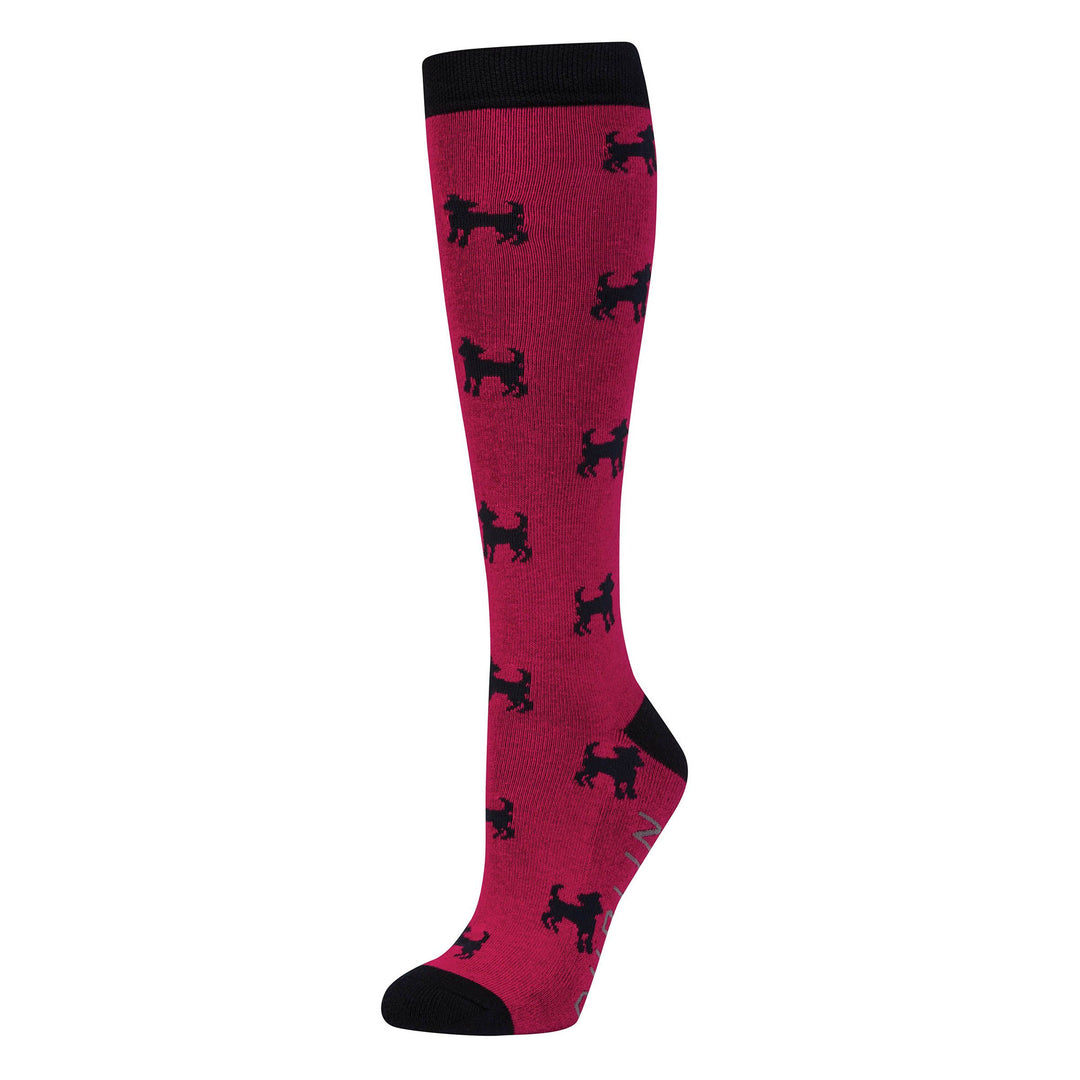 The Dublin Adults Single Pack Socks in Red Print#Red Print